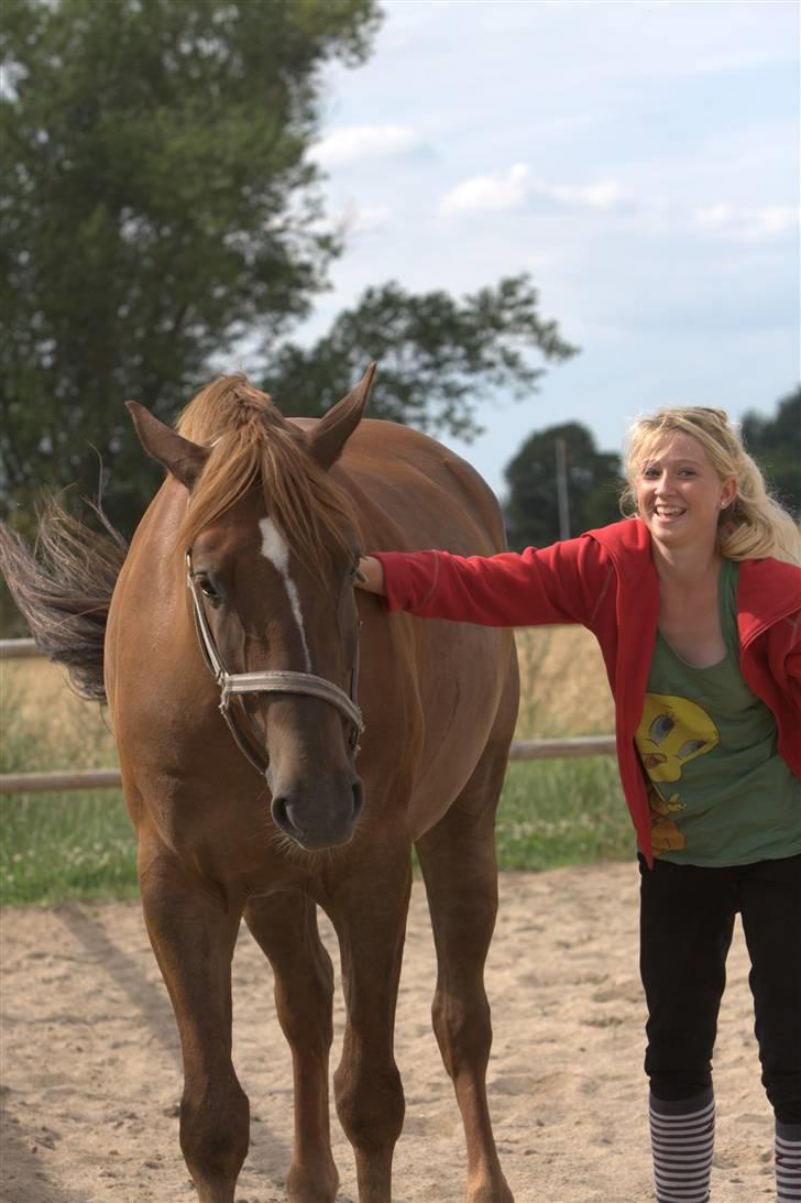 Sjov, Spas, hygge, løsspringningen og tricks (L) billede 23