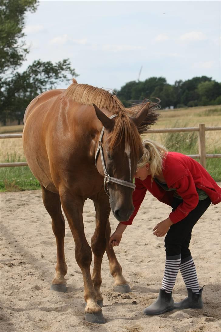 Sjov, Spas, hygge, løsspringningen og tricks (L) billede 25