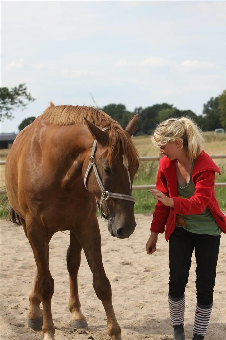 Sjov, Spas, hygge, løsspringningen og tricks (L) billede 26