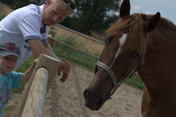 Sjov, Spas, hygge, løsspringningen og tricks (L) billede 31