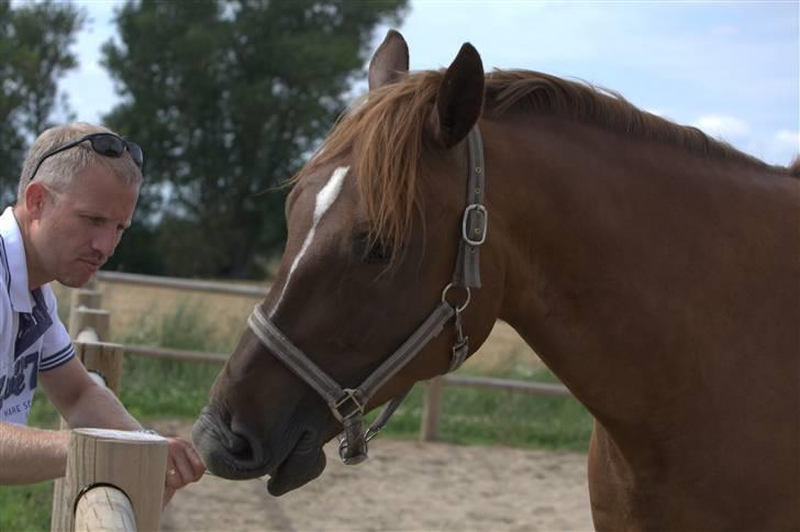 Sjov, Spas, hygge, løsspringningen og tricks (L) billede 33