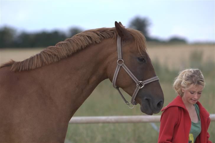 Sjov, Spas, hygge, løsspringningen og tricks (L) billede 49