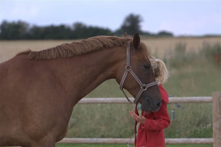 Sjov, Spas, hygge, løsspringningen og tricks (L) billede 50