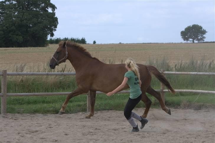 Sjov, Spas, hygge, løsspringningen og tricks (L) billede 73