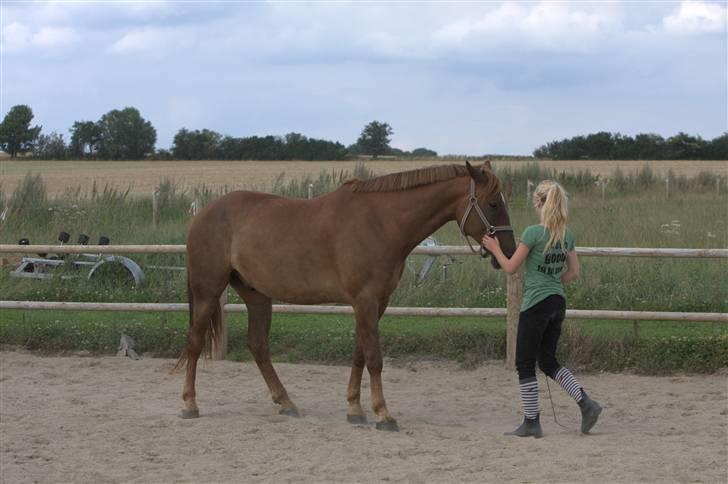 Sjov, Spas, hygge, løsspringningen og tricks (L) billede 75