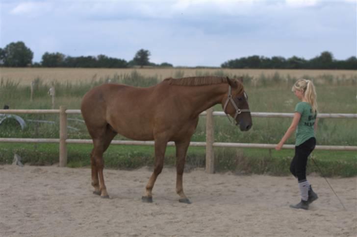 Sjov, Spas, hygge, løsspringningen og tricks (L) billede 76