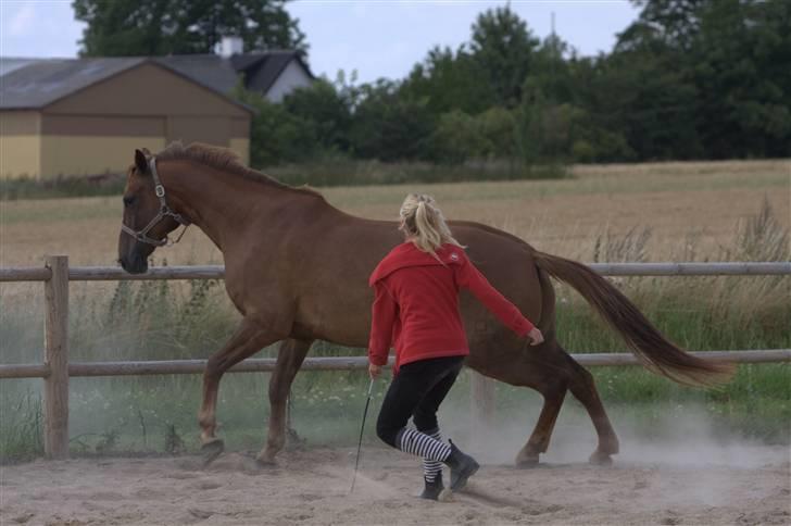 Sjov, Spas, hygge, løsspringningen og tricks (L) billede 90