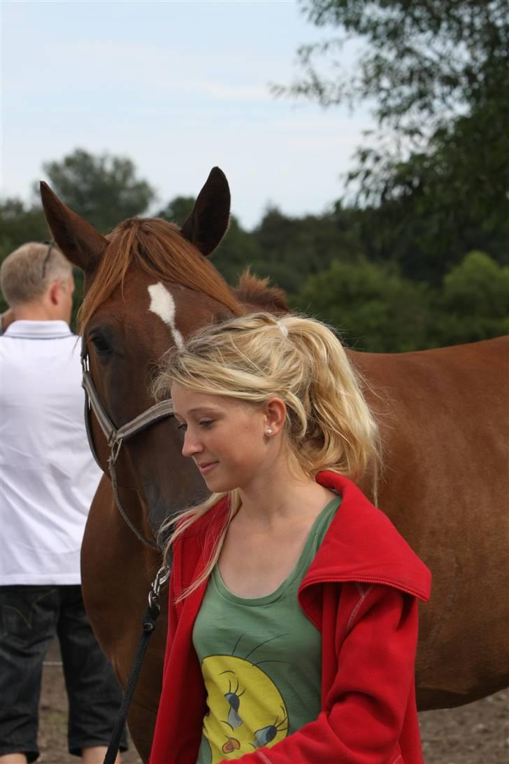 Sjov, Spas, hygge, løsspringningen og tricks (L) billede 107