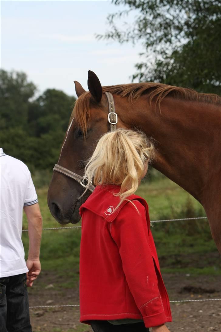 Sjov, Spas, hygge, løsspringningen og tricks (L) billede 108