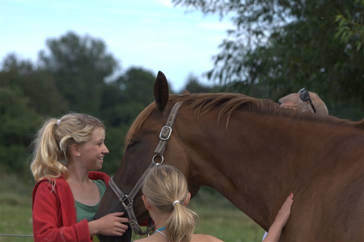 Sjov, Spas, hygge, løsspringningen og tricks (L) billede 109