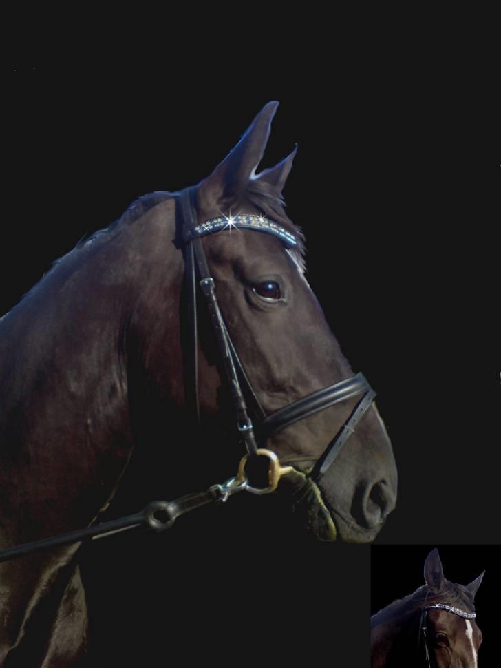 Lidt blandet billeder - behandlet med fotoprogram - Noir Rêver billede 3