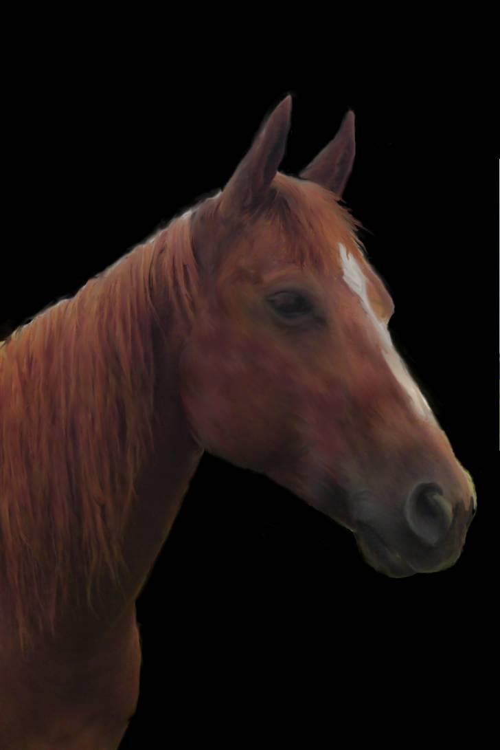 Lidt blandet billeder - behandlet med fotoprogram - Spice billede 4