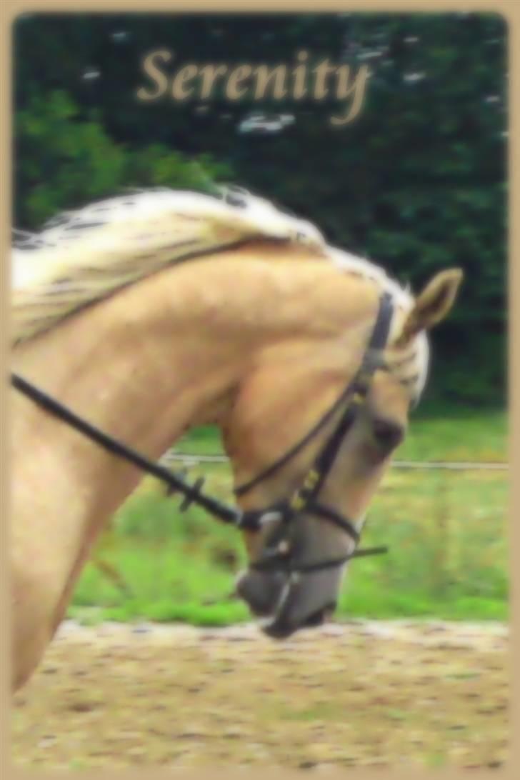 Lidt blandet billeder - behandlet med fotoprogram - Serenity billede 5