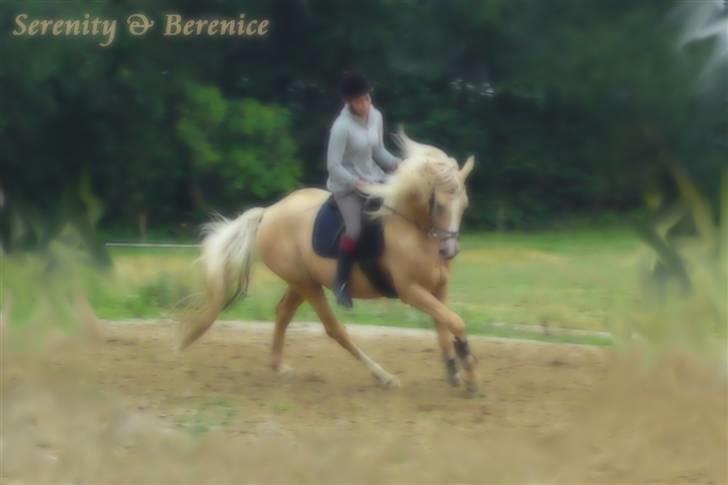 Lidt blandet billeder - behandlet med fotoprogram - Serenity billede 6