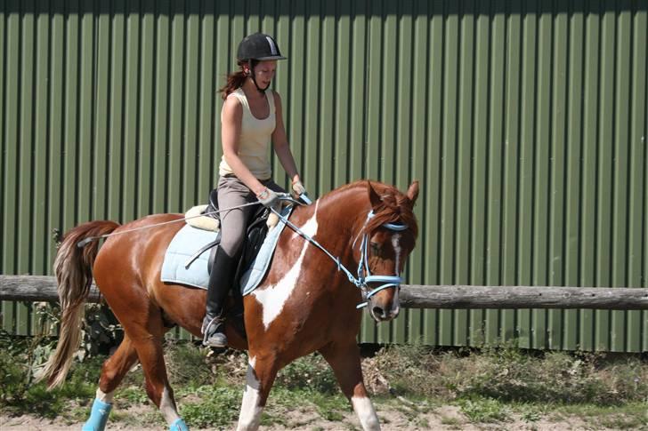 Blåt udstyr + dressur <3 billede 8