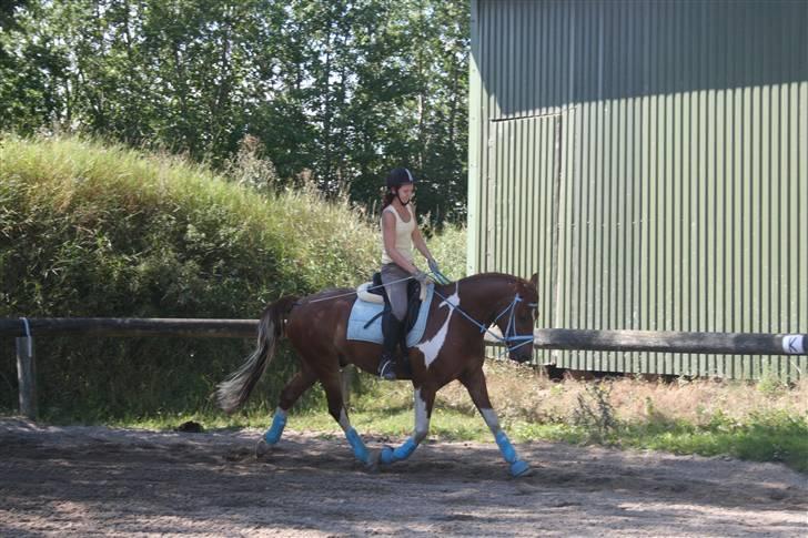 Blåt udstyr + dressur <3 billede 9