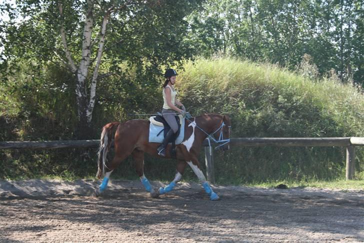 Blåt udstyr + dressur <3 billede 10