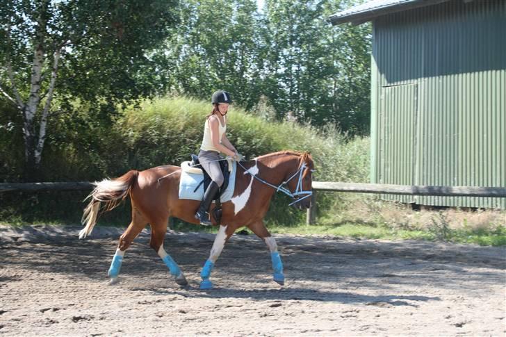 Blåt udstyr + dressur <3 billede 12