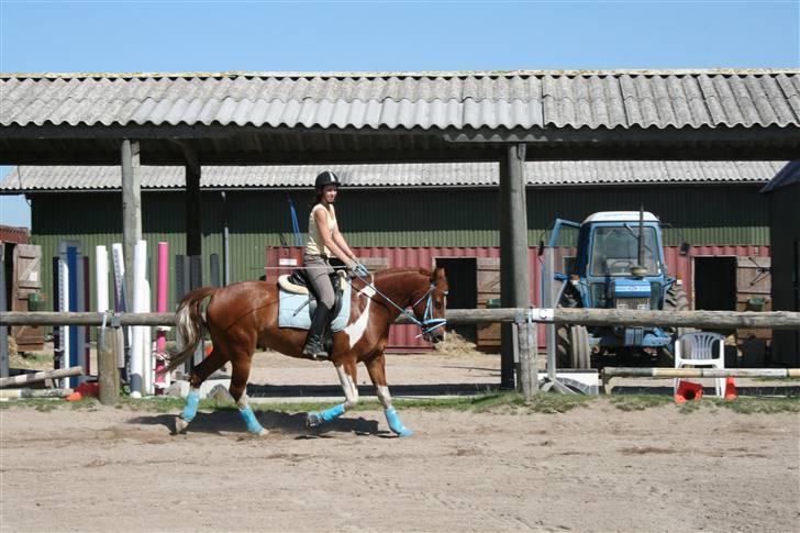 Blåt udstyr + dressur <3 billede 15