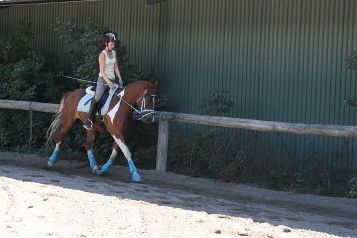 Blåt udstyr + dressur <3 billede 23