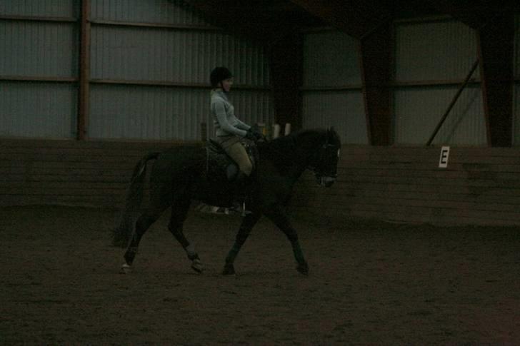 En dag i ridehuset på donse :D - Simone og baronis :)
 billede 1