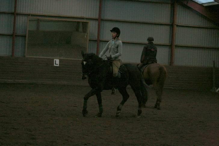 En dag i ridehuset på donse :D billede 3