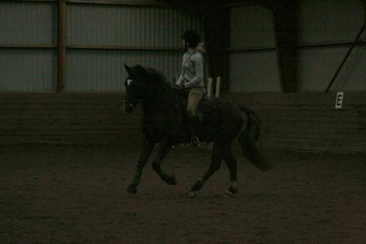 En dag i ridehuset på donse :D billede 4