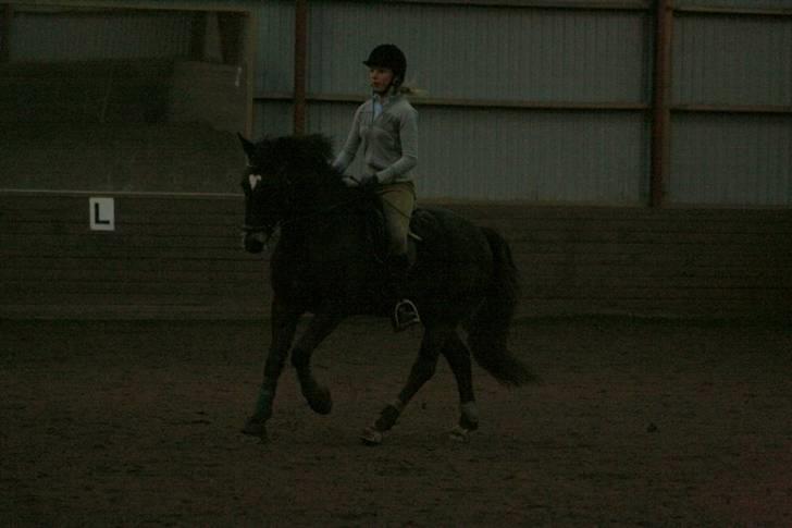 En dag i ridehuset på donse :D billede 5