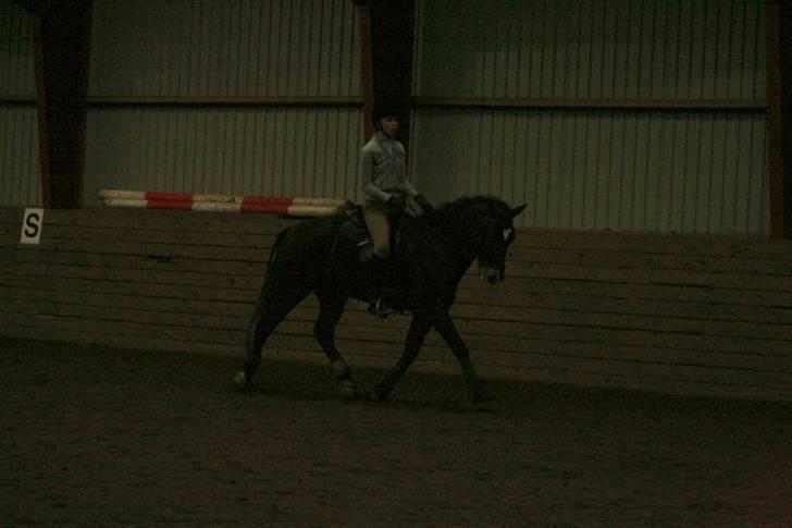 En dag i ridehuset på donse :D billede 6
