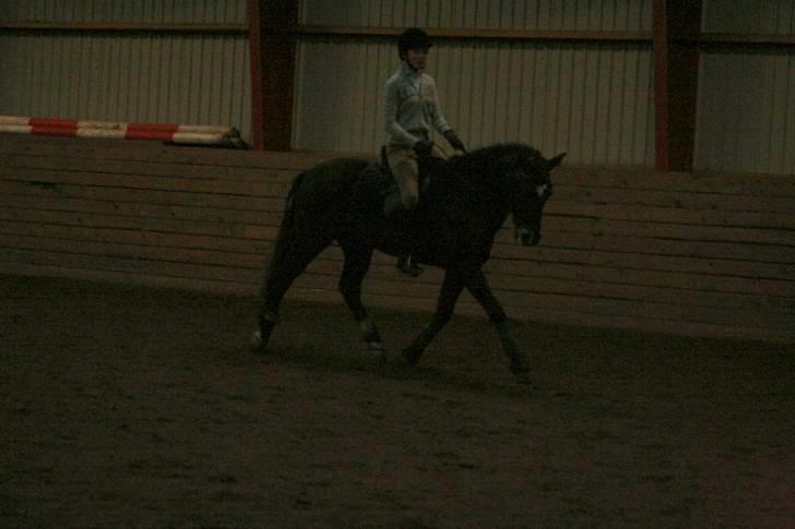 En dag i ridehuset på donse :D billede 7
