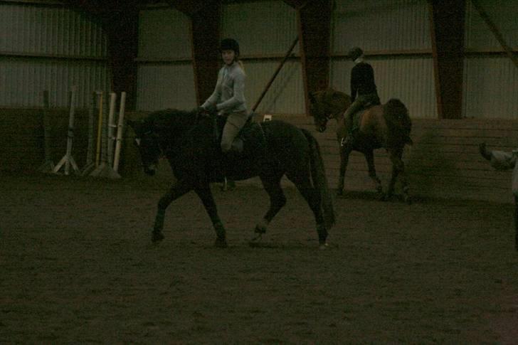 En dag i ridehuset på donse :D billede 8