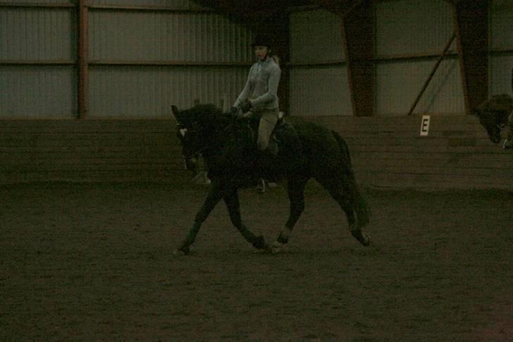 En dag i ridehuset på donse :D billede 9