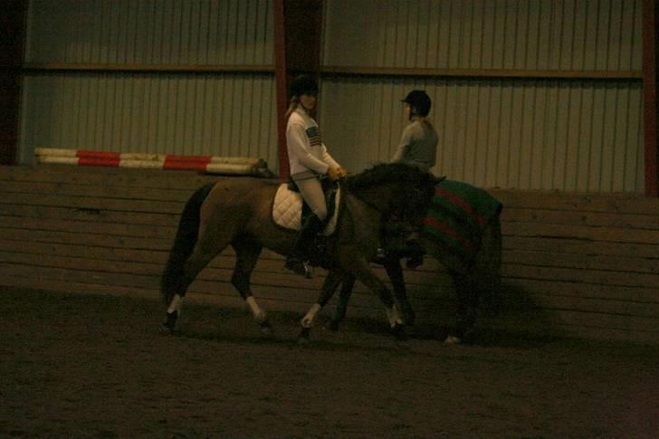 En dag i ridehuset på donse :D billede 11