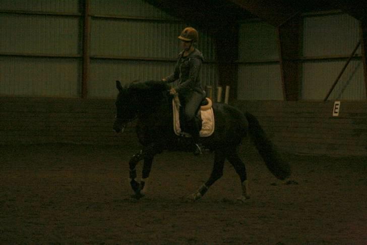 En dag i ridehuset på donse :D - Og selveste multhe =p (med lala oven på ;) billede 13