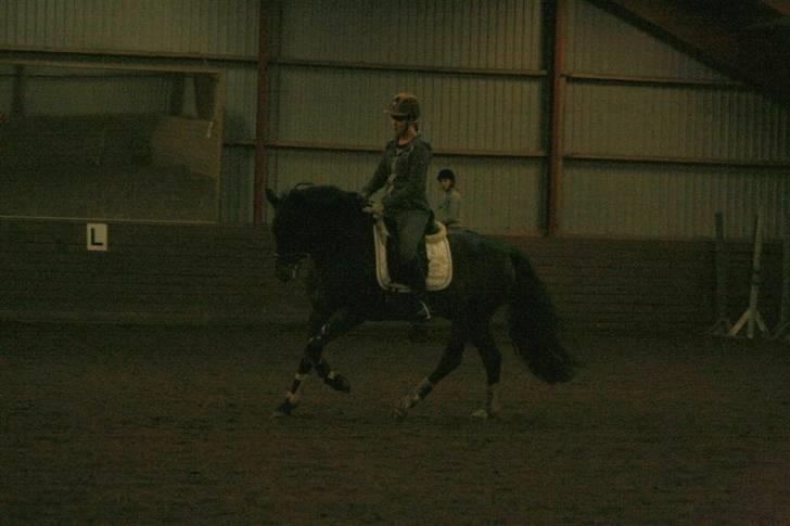 En dag i ridehuset på donse :D billede 14