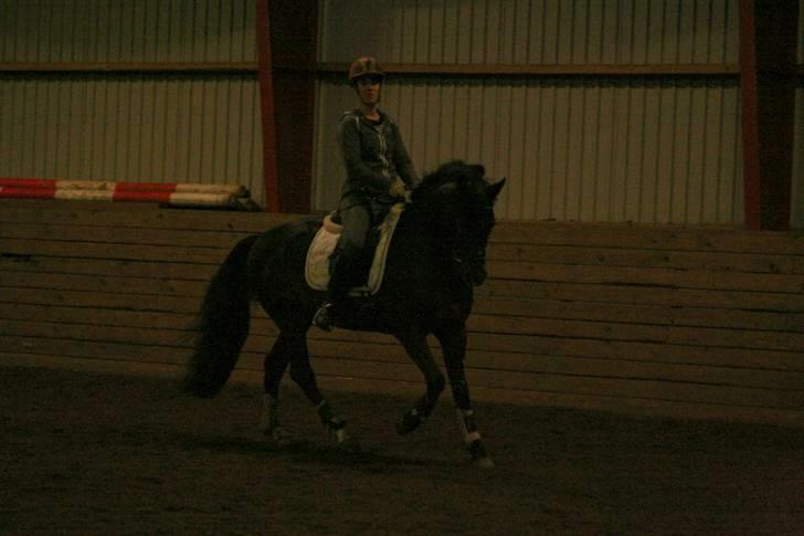 En dag i ridehuset på donse :D billede 15
