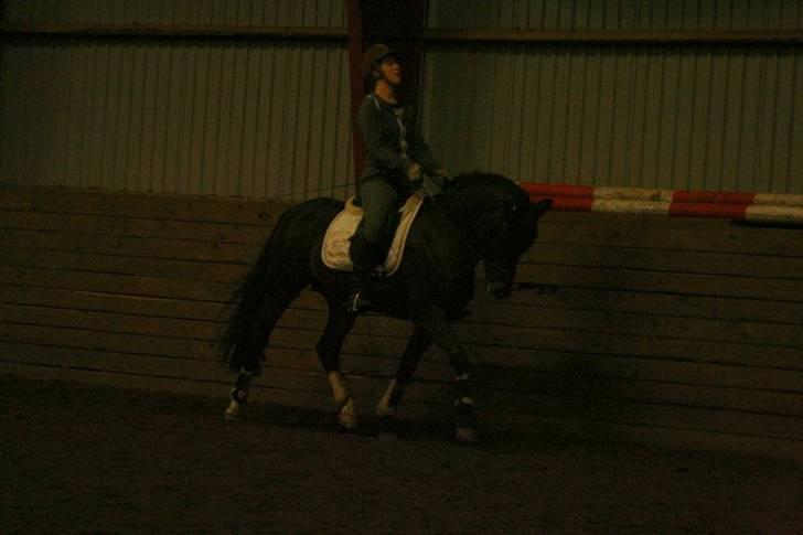 En dag i ridehuset på donse :D billede 18