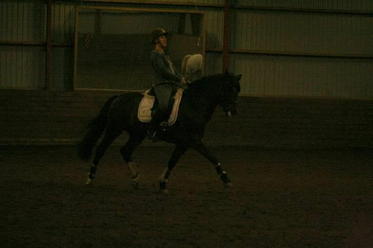En dag i ridehuset på donse :D billede 20