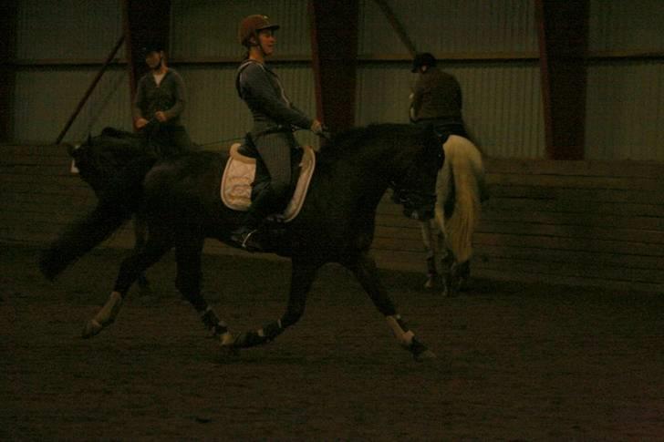 En dag i ridehuset på donse :D billede 21