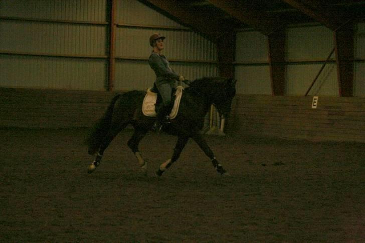 En dag i ridehuset på donse :D billede 23