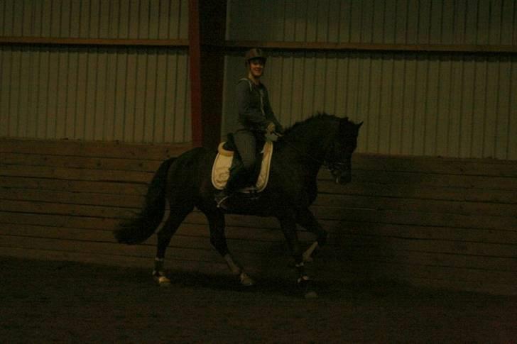 En dag i ridehuset på donse :D billede 24
