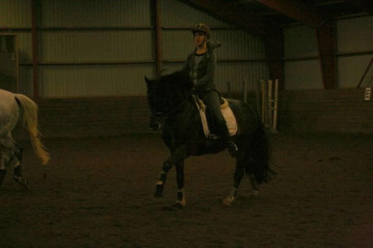 En dag i ridehuset på donse :D billede 25