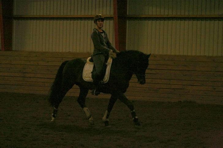 En dag i ridehuset på donse :D billede 26