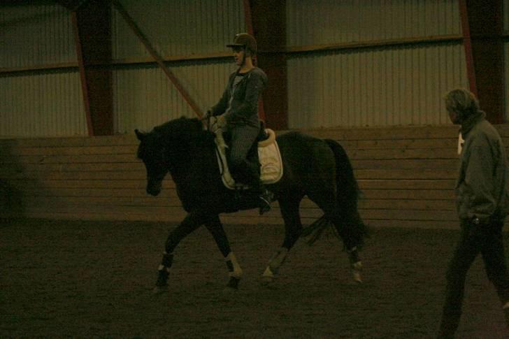 En dag i ridehuset på donse :D billede 27