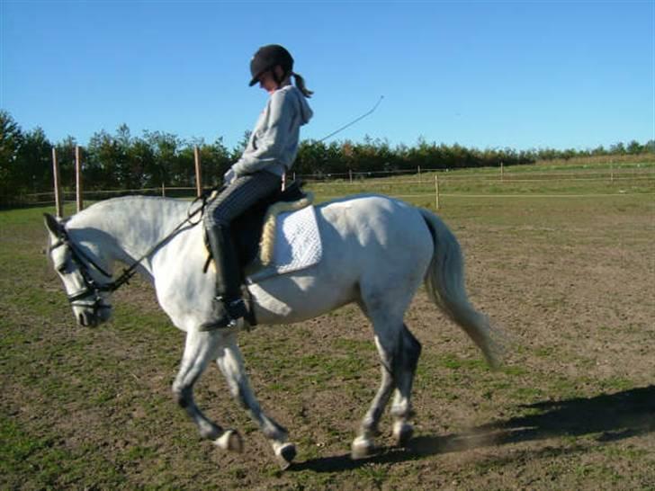 Billeder af mine heste. - Laban & mig i en galop skråt i gemmen, ligener lort jeg gled frem i sadlen heeh ! <3 (: billede 14
