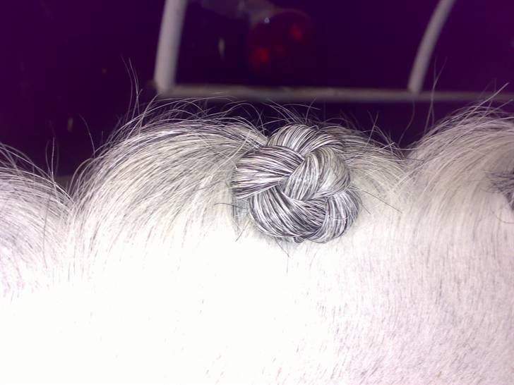 Flette-guide til rosenknopper - Når du føler at rosenknoppen sidder godt fast, klipper du tråden af på bagsiden (altså den side, der vender væk). Du behøver ikke at hæfte tråden - jeg har aldrig oplevet, at en rosenknop er gået op. Heller ikke efter en hel weekend.

Sådan skulle den færdige rosenknop gerne se ud. Fortsæt  til du har syet hele manen. billede 19