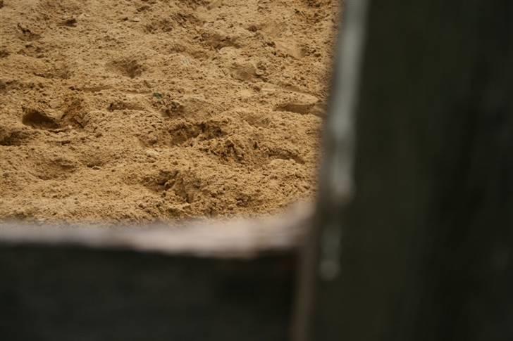 Mine sjove/mærkelige billeder... - # 1.
Hører sammen med # 2. Det er 2 sider af samme sag ^^ billede 1