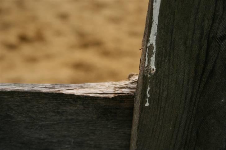 Mine sjove/mærkelige billeder... - # 2.
Hører sammen med # 1. billede 2