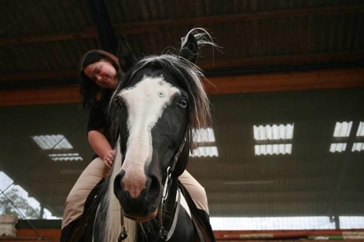 Mine sjove/mærkelige billeder... - Dette er så taget af min roomie Lykke, eftersom det er mig på ryggen af Mr. Sugar her ^^
Tennessee Walking Horse hingst fra Downunder Stables, Tyskland. billede 5