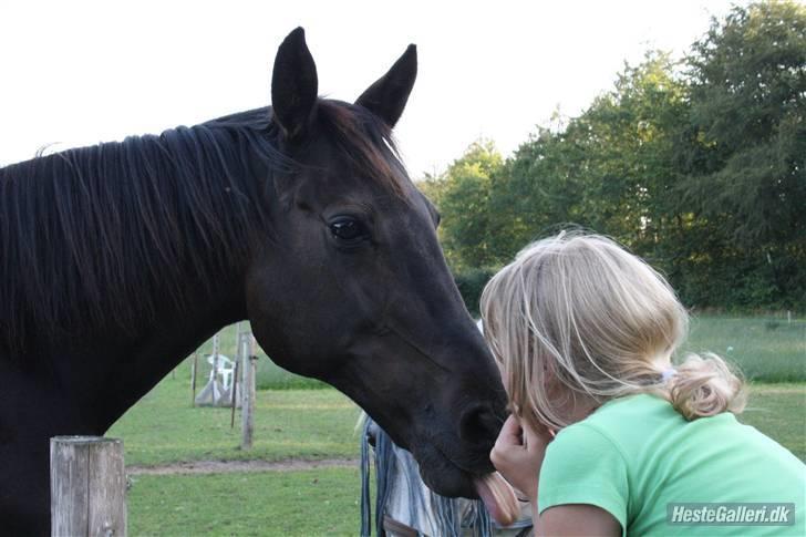 Sjove billeder :) <3 - Kys kys!!! Og tungen må frem XD <3
FOTO: Sis miin <3 billede 7